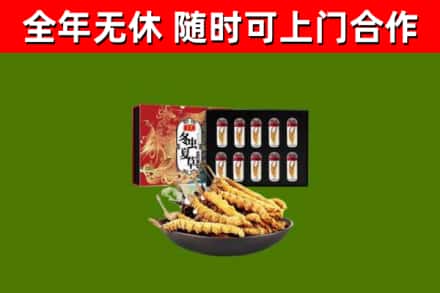 兰坪县烟酒回收冬虫夏草礼盒.jpg