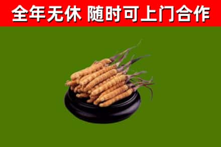 兰坪县烟酒回收冬虫夏草.jpg
